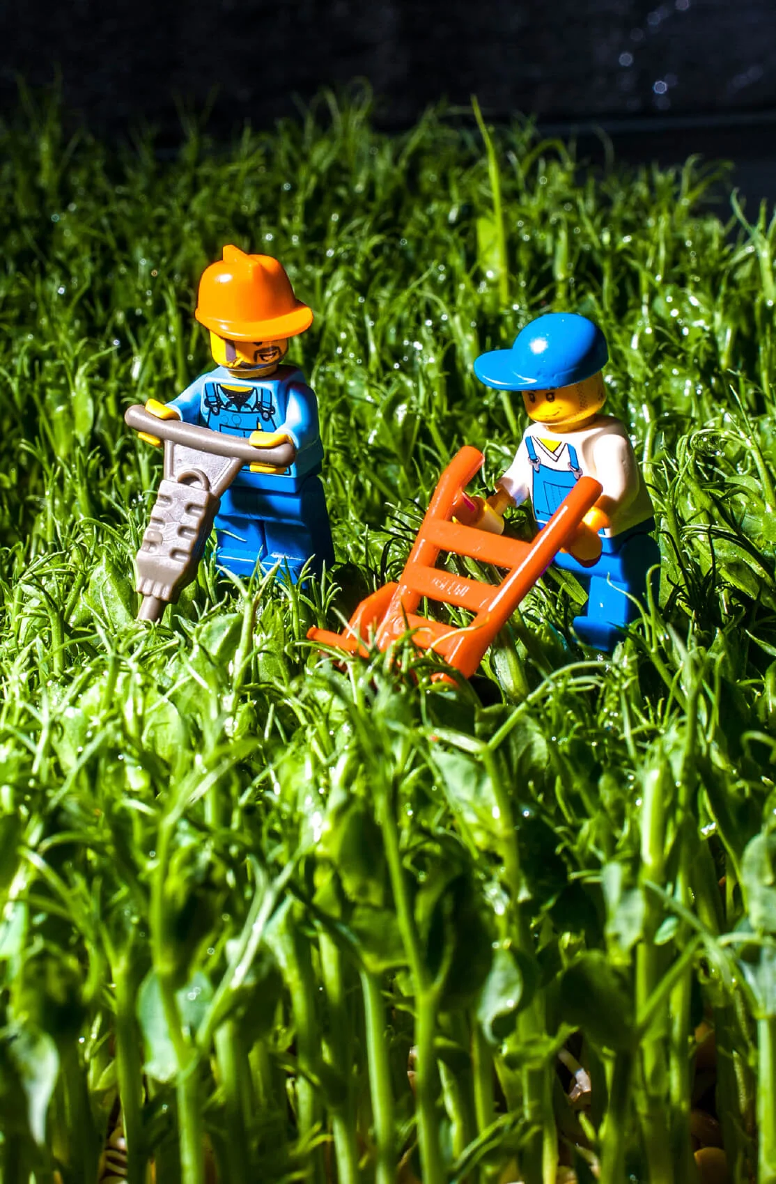 ДОБАВИМ ЗЕЛЕНИ 2