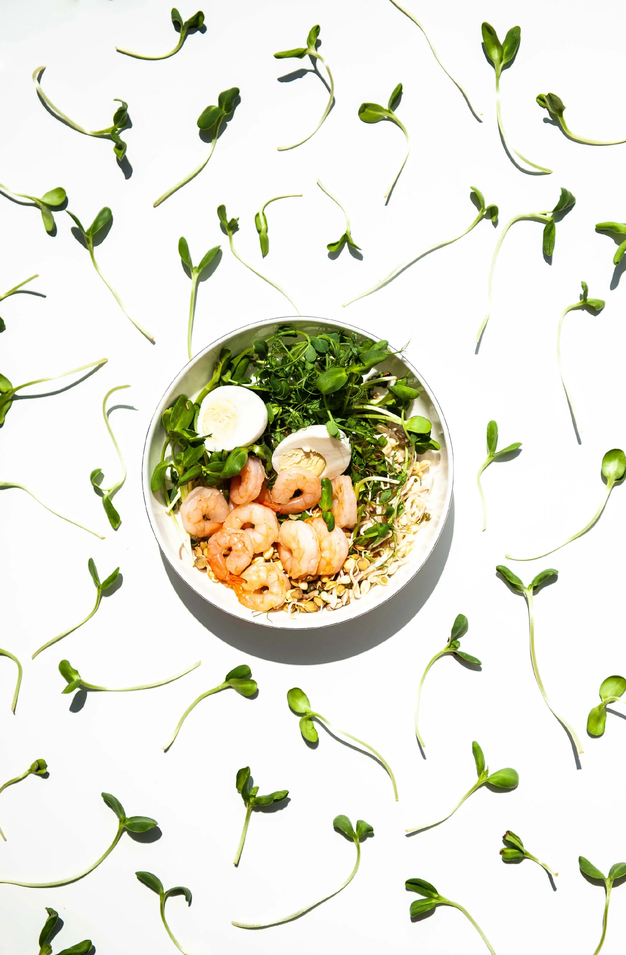 ДОБАВИМ ЗЕЛЕНИ 5