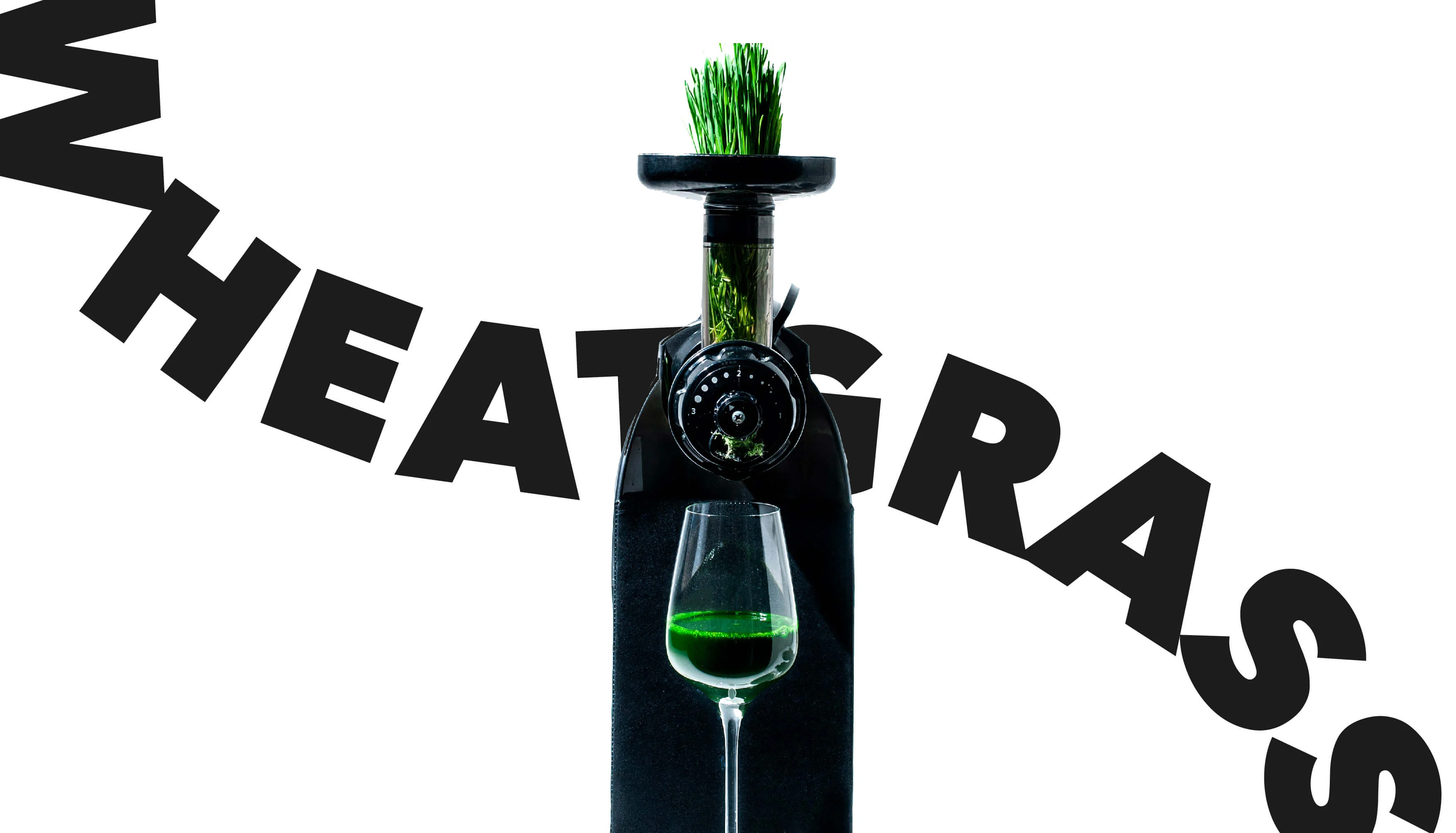 ДОБАВИМ ЗЕЛЕНИ 7